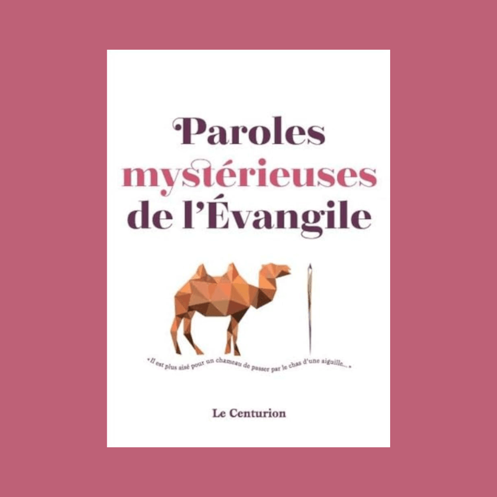Couverture de Paroles mystérieuses de l'Evangile